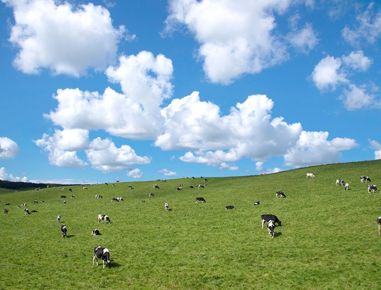 豊富町のご紹介 特別養護老人ホーム「温心園」